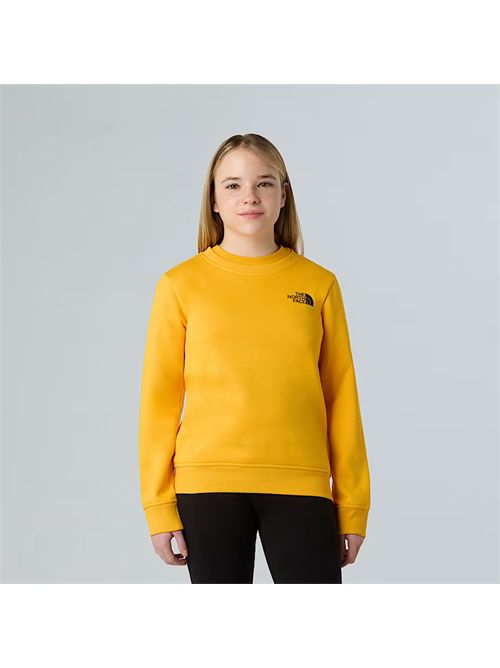 Felpa NSE Box da ragazzi THE NORTH FACE | NF0A89H7/56P1